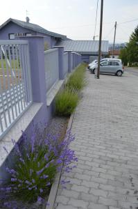 斯拉沃尼亚布罗德潘松安东尼奥酒店的一条紫色的栅栏和一条人行道上的紫色花朵