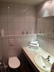 巴特恩豪森坲斯豪斯阿尔特福斯特酒店的一间带水槽、卫生间和镜子的浴室