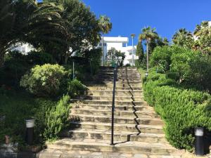 EsteponaEstepona Golf - Los Pintores的棕榈树和灌木丛中的石头楼梯