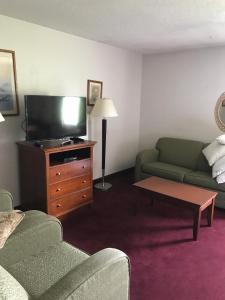 马里恩湖树套房酒店的带沙发和平面电视的客厅