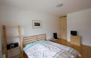 博维茨Apartment Montis Bovec的一间卧室配有一张床和一台电视