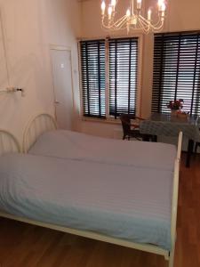 格罗宁根Hostel Pension Tivoli的卧室配有床、桌子和窗户。