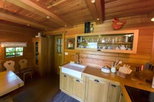 LjubnoGlamping Savinja的小屋内的厨房设有木墙和水槽