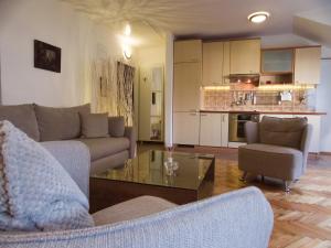 尼什Apartment Niš Center的客厅配有沙发和桌子
