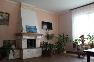 亚西尼亚Sukhoviia的客厅设有壁炉和墙上的电视