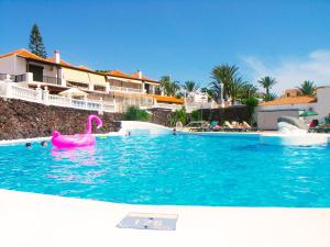 美洲海滩Apartment in Paraiso Royal的水中一个粉红色天鹅的游泳池