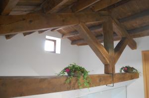 Torres de AlbarracínApartamentos La Harinera的木天花板,柜台上放有两盆植物