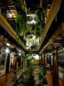 危地马拉安地瓜La Quinta Santa Lucia的楼内种植了植物和楼梯的走廊