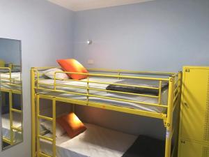 布里斯班微风小屋旅馆的一间客房内配有两张双层床的房间