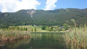 魏森湖Haus Alpina的享有湖泊和山脉的景色
