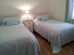 康镇Ashford Villa的一间卧室配有两张床和床头灯。
