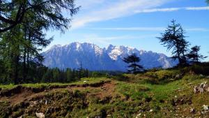 TauplitzalmHotel Alpen Arnika的相册照片