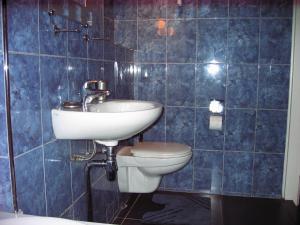 阿姆斯特丹Jordaan Canal View Apartment的蓝色瓷砖浴室设有水槽和卫生间