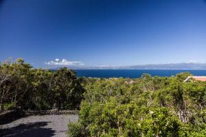 圣罗克杜皮库Vila Verde的从树木茂密的山丘上欣赏海景