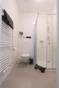Lage赖克特出租旅馆的一间带卫生间和玻璃淋浴间的浴室