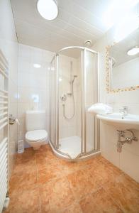 迈尔霍芬艾卡图尔霍夫酒店的带淋浴、卫生间和盥洗盆的浴室