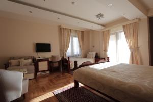 新瓦罗什IN Hotel Zlatar ex Zlatarski Biseri的一间卧室配有一张床、一张沙发和一台电视