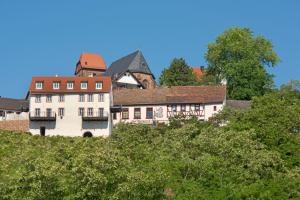 诺伊莱宁恩Burggarten Appartements Neuleiningen的山顶上的一座老房子