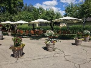 克拉根福Gasthof Ogertschnig的庭院里放着几盆花、桌子和遮阳伞