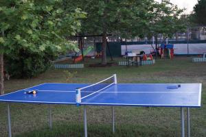 阿菲托斯帕拉蒂诺酒店的公园内的蓝色乒乓球场