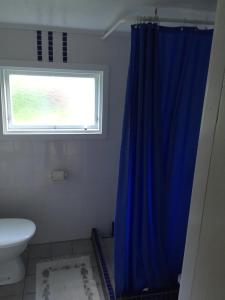 LjugarnRingbomsvägen Holiday Home的浴室设有蓝色的浴帘和窗户