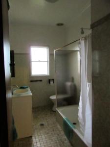 马奇Kaylee Cottage Mudgee的带浴缸、卫生间和窗户的浴室