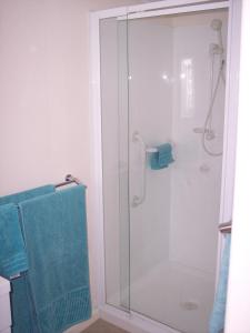 马奇玛吉布朗科特度假屋的浴室设有玻璃淋浴间和蓝色毛巾