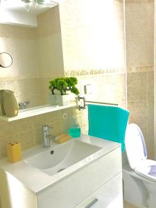 科托尔伊万尼塞维奇2号公寓的一间带水槽和卫生间的浴室
