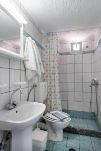 克里察阿格约出租房酒店的浴室配有白色卫生间和盥洗盆。