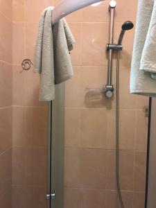 斯维季亚济格里克德维尔酒店的一间带淋浴的浴室,墙上配有毛巾