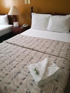 科利马Hotel Dinastía Colima的一间酒店客房,配有一张带毛巾的床