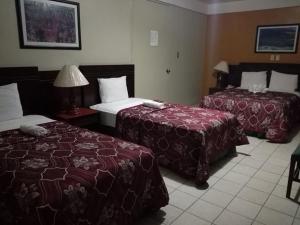 科利马Hotel Dinastía Colima的酒店客房,设有两张床和一盏灯