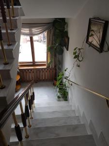 Kocherinovo米舍尔酒店的走廊上设有盆栽楼梯和窗户