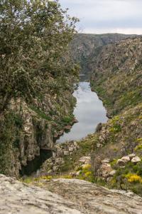 米兰达·杜·杜罗Casa de Belharino的峡谷中河流的景色