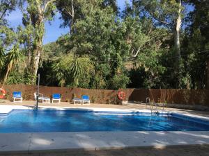 托洛克斯巴尔尼诺酒店的一个带2把蓝色椅子和围栏的游泳池