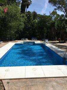托洛克斯巴尔尼诺酒店的庭院里的一个蓝色海水游泳池