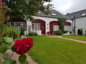 莫法特巴尔莫勒尔酒店的房子前面的红玫瑰