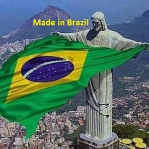 加尔多内-里维耶拉Made in Brazil的自由雕像顶部的红旗