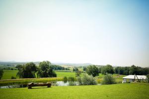 奥茨胡恩瑟尔法精品橄榄庄园酒店的享有田野、池塘和公园的景色