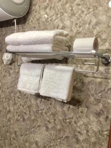 帕罗Hotel Khamsum的浴室内带毛巾的毛巾架