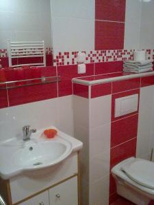 拉贝河畔乌斯季彭逊杜尔旅馆的红色和白色的浴室设有水槽和卫生间