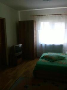 布雷亚扎Vila Elena si Ionut的一间卧室设有一张床、一个窗口和一台电视