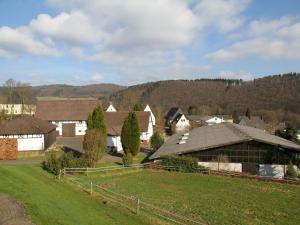 普莱滕贝格Mangs-Hof的一群有绿地和树木的房屋