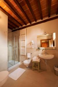 科尔托纳博尔戈伊尔美罗奈酒店的一间带水槽、淋浴和卫生间的浴室
