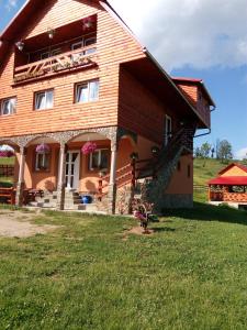 Gheţari冰川旅馆的绿色田野上的大型木屋