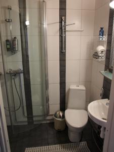 Suonenjoki索尼约克酒店的带淋浴、卫生间和盥洗盆的浴室