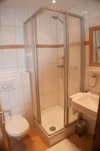 埃默里希艾梅里希斯达德特酒店的带淋浴、卫生间和盥洗盆的浴室
