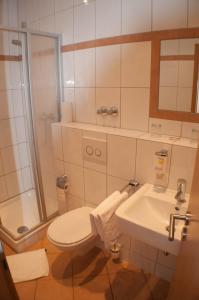 埃默里希艾梅里希斯达德特酒店的浴室配有卫生间、盥洗盆和淋浴。