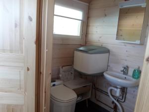 RistijärviRistijärven Pirtti Cottage Village的一间带卫生间和水槽的小浴室