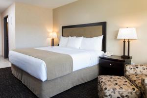 萨斯卡通城镇公园酒店的酒店客房带一张大床和一把椅子